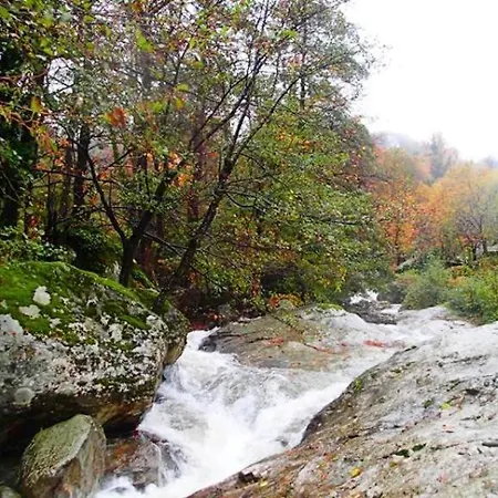 شقة Victoria's Country *